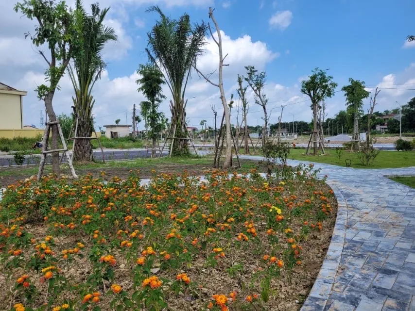 Cập nhật tiến độ dự án OM7: "đẩy nhanh các bước cuối cùng để nghiệm thu dự án" - Chủ tịch HĐQT Nguyễn Thế Hùng chỉ đạo tại dự án OM7. — ảnh 21