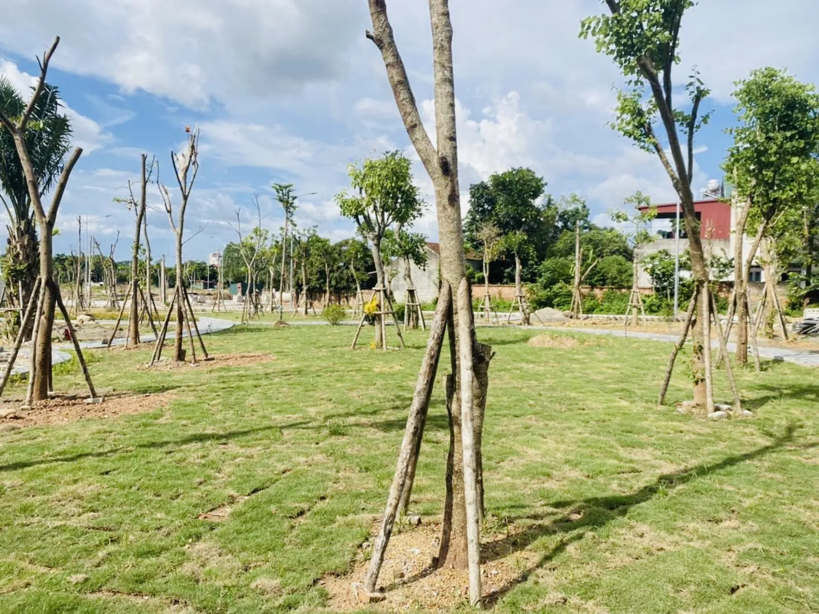 Cập nhật tiến độ dự án OM7: "đẩy nhanh các bước cuối cùng để nghiệm thu dự án" - Chủ tịch HĐQT Nguyễn Thế Hùng chỉ đạo tại dự án OM7. — ảnh 53