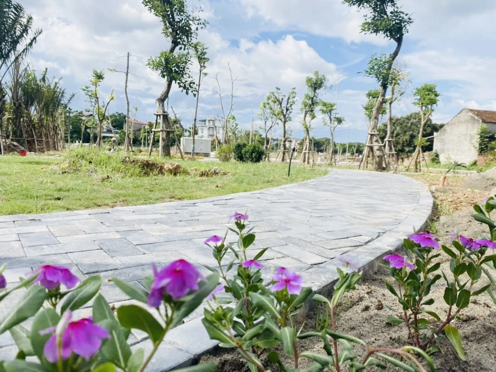 Cập nhật tiến độ dự án OM7: "đẩy nhanh các bước cuối cùng để nghiệm thu dự án" - Chủ tịch HĐQT Nguyễn Thế Hùng chỉ đạo tại dự án OM7. — ảnh 55