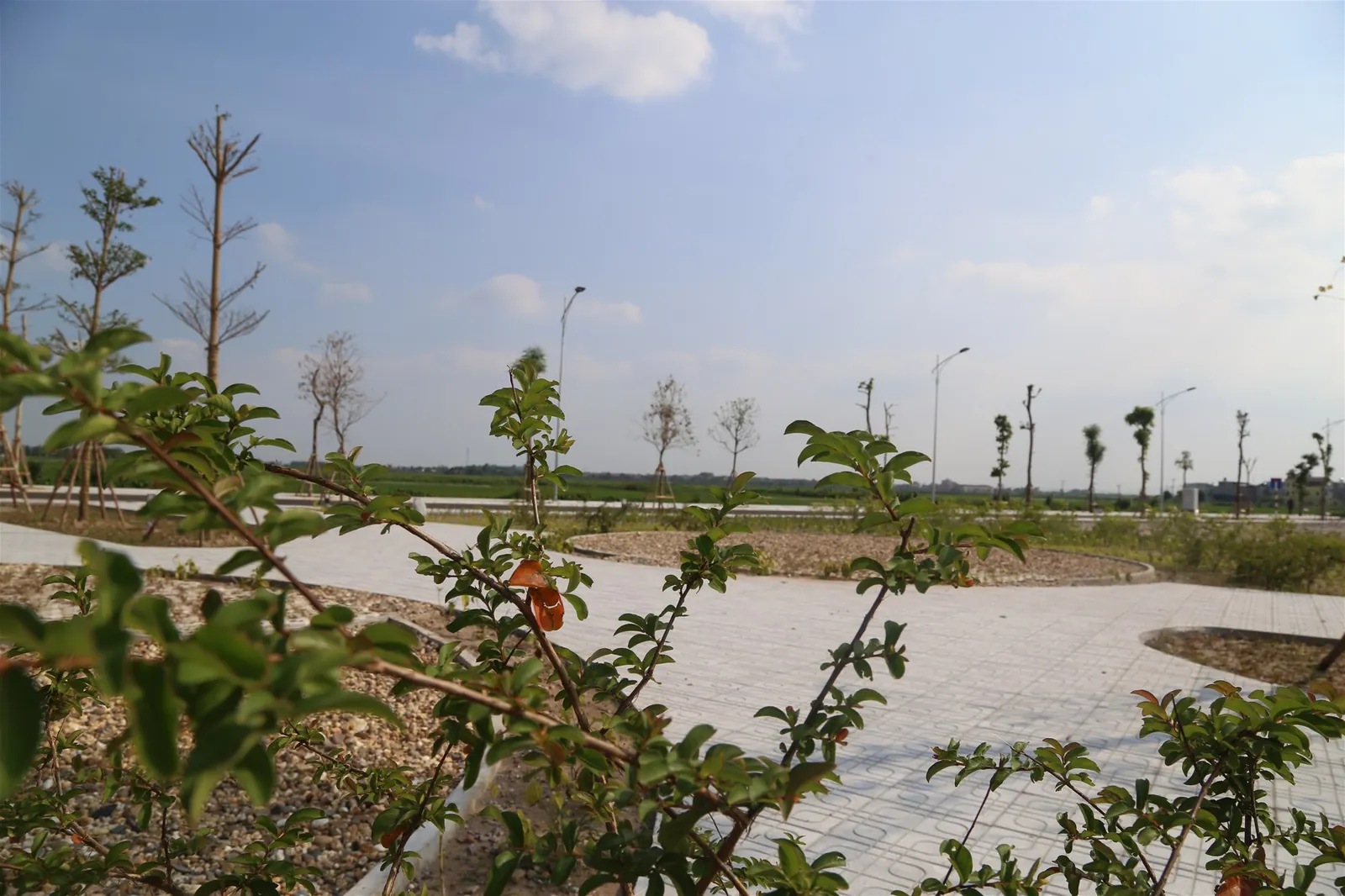 Cập nhật tiến độ dự án điểm 3 Thuận Thành – Bắc Ninh — ảnh 16
